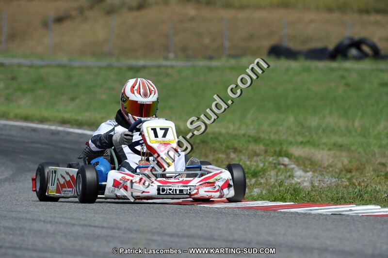 DSC_ (437).jpg